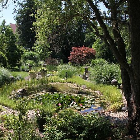 Fewo - Wohlfuehlambiente & Gartenparadies Modautal Esterno foto