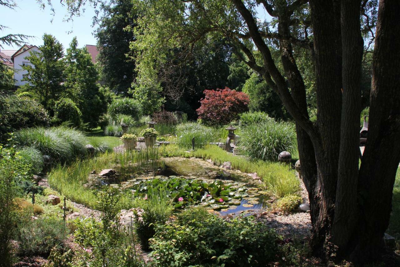 Fewo - Wohlfuehlambiente & Gartenparadies Modautal Esterno foto