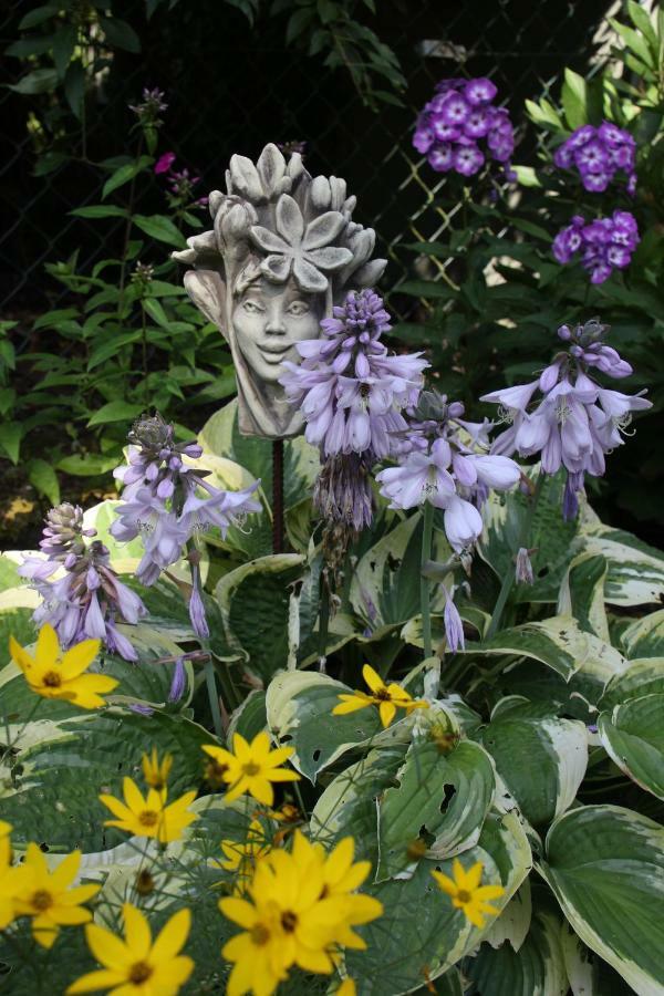 Fewo - Wohlfuehlambiente & Gartenparadies Modautal Esterno foto