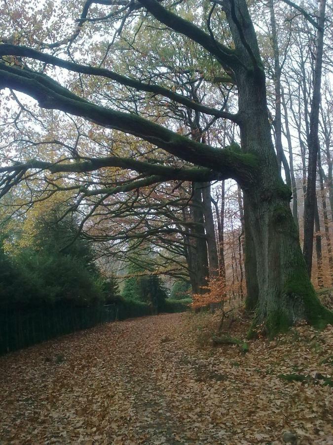 Fewo - Wohlfuehlambiente & Gartenparadies Modautal Esterno foto