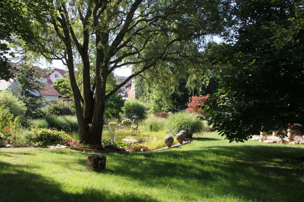 Fewo - Wohlfuehlambiente & Gartenparadies Modautal Esterno foto