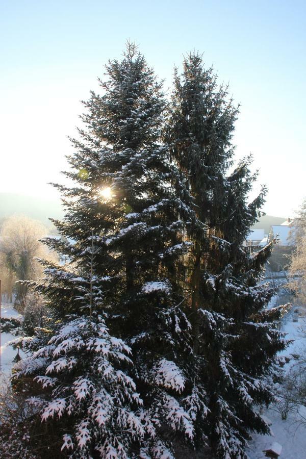 Fewo - Wohlfuehlambiente & Gartenparadies Modautal Esterno foto